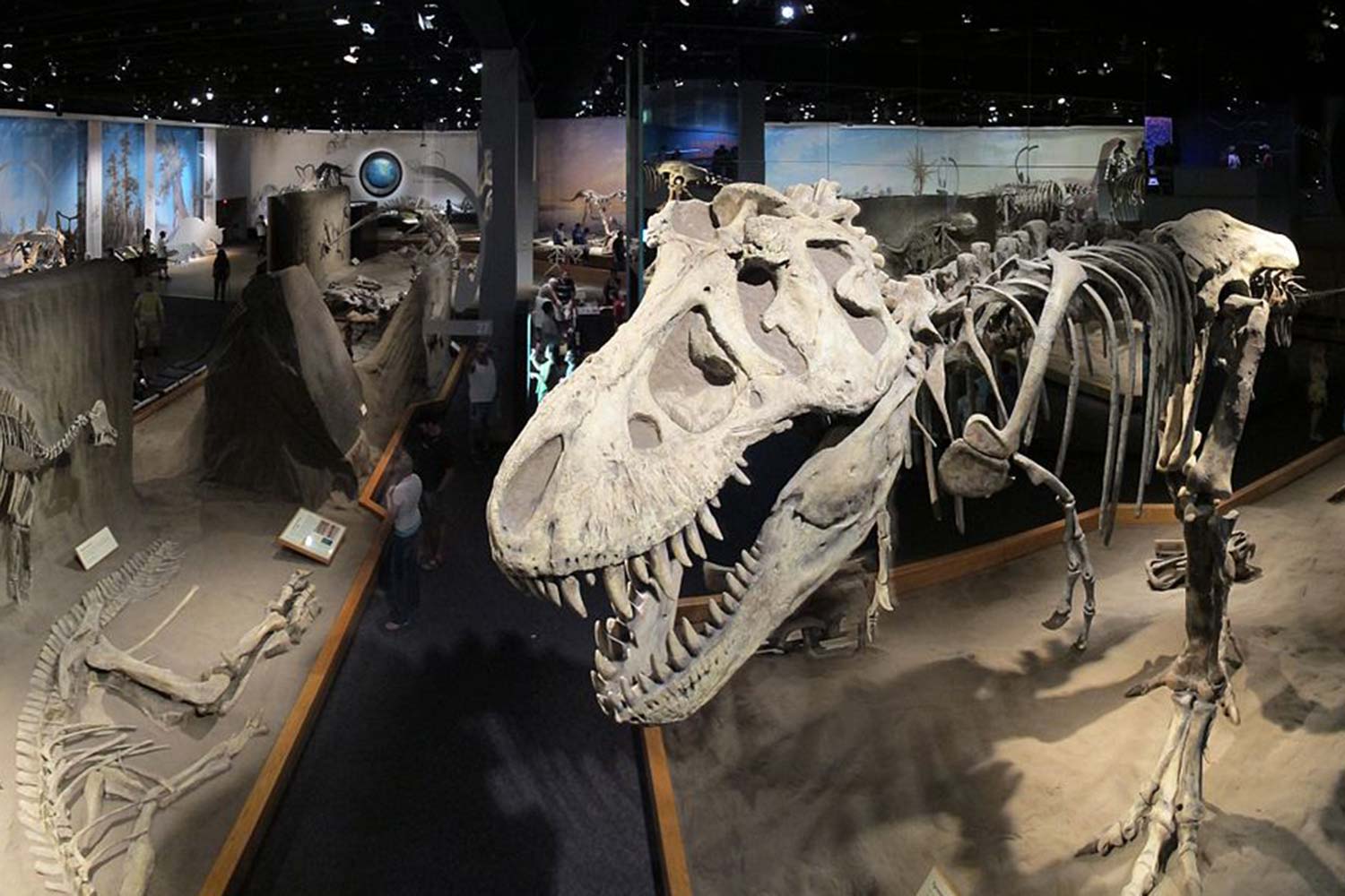 Dinosaur Museum