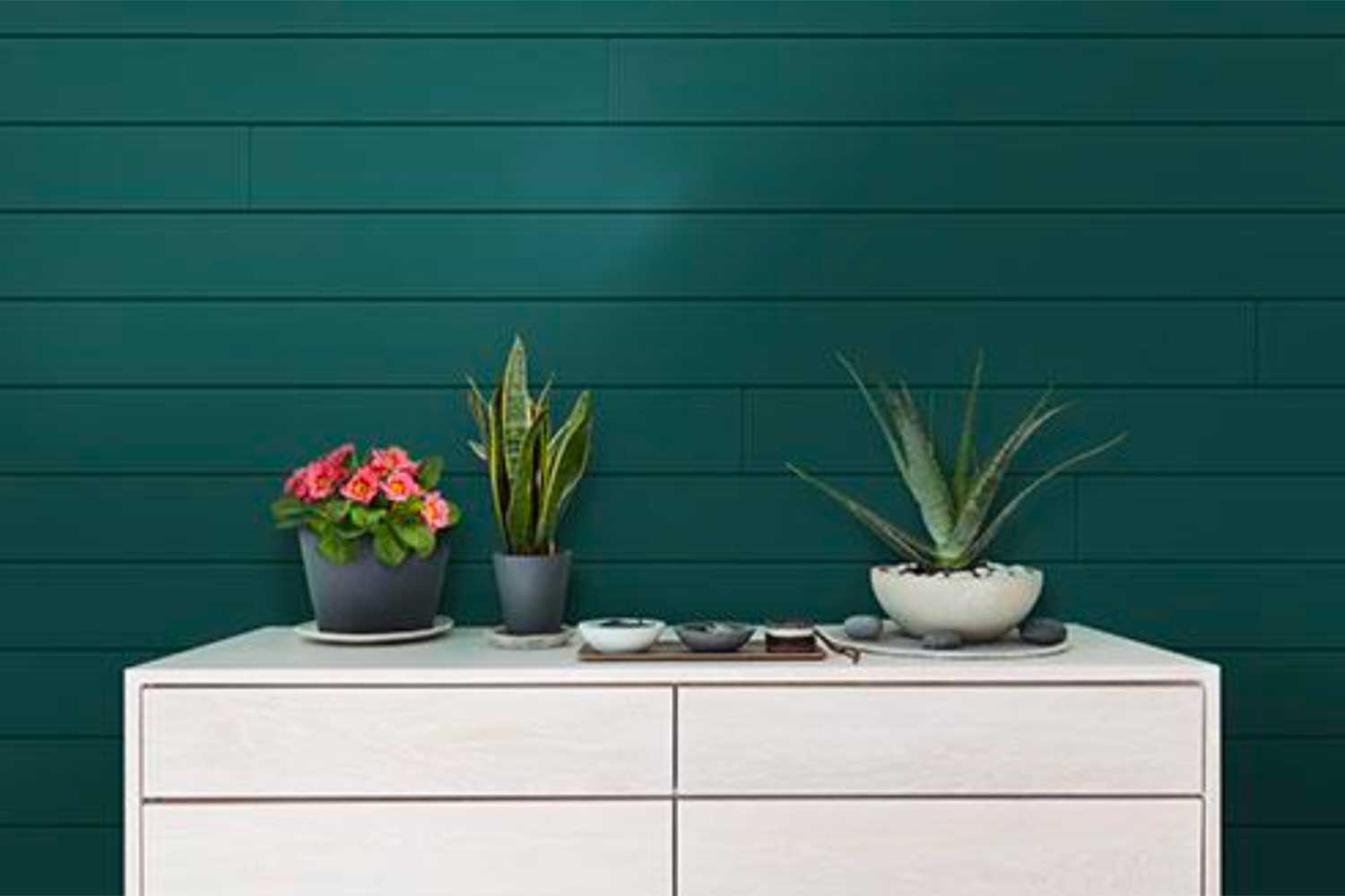 2019 Paint Trends - Aldebaran Homes